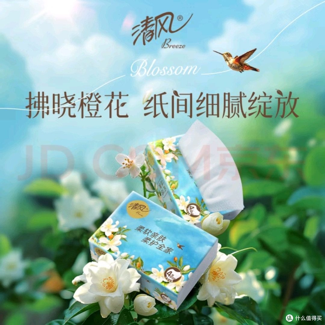 清风丝柔抽纸:家庭日常好帮手