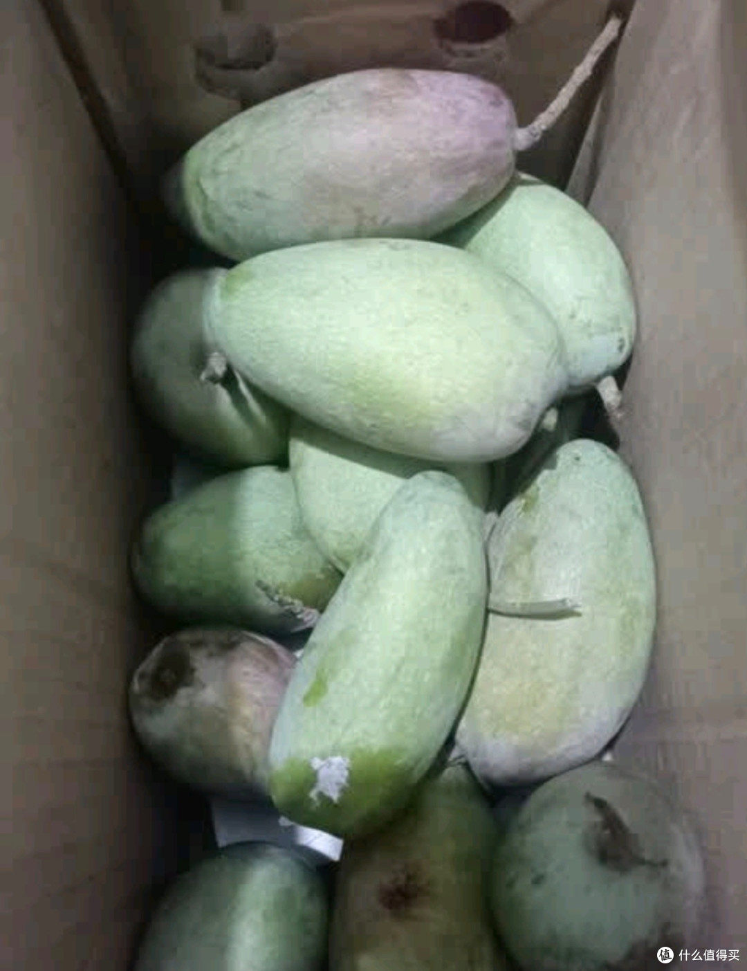 网购静益乐源贵妃芒,安全下车!