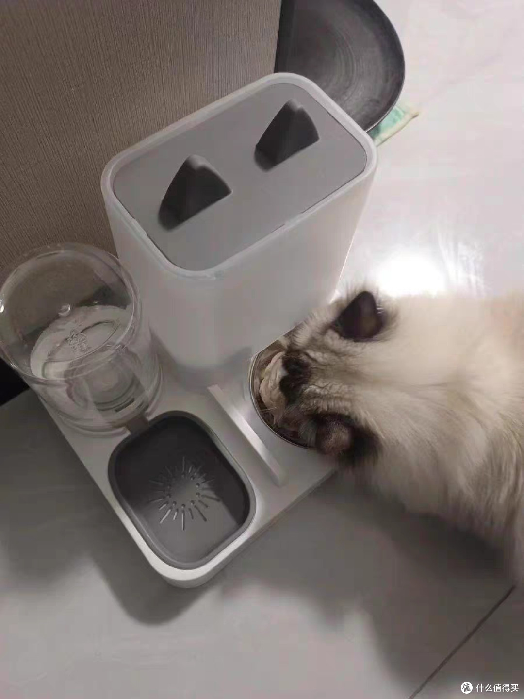 猫碗狗碗不锈钢喂食喂水一体机