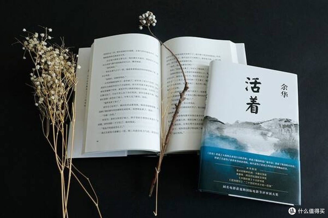 《活着》:福贵的苦难与坚持