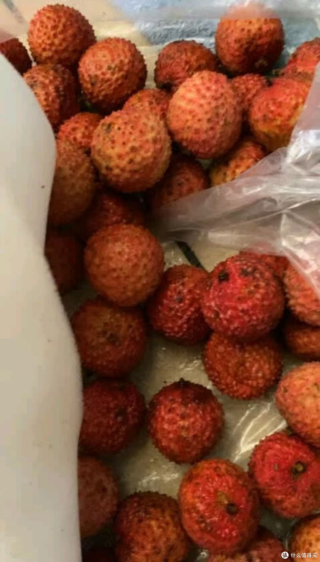 今年荔枝太便宜!“小而甜”的桂味荔枝我必须吹爆!