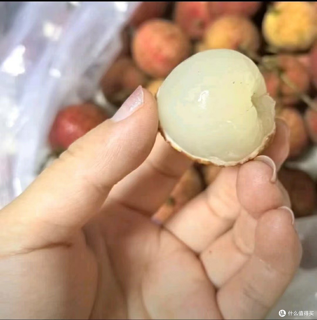 今年荔枝太便宜!“小而甜”的桂味荔枝我必须吹爆!