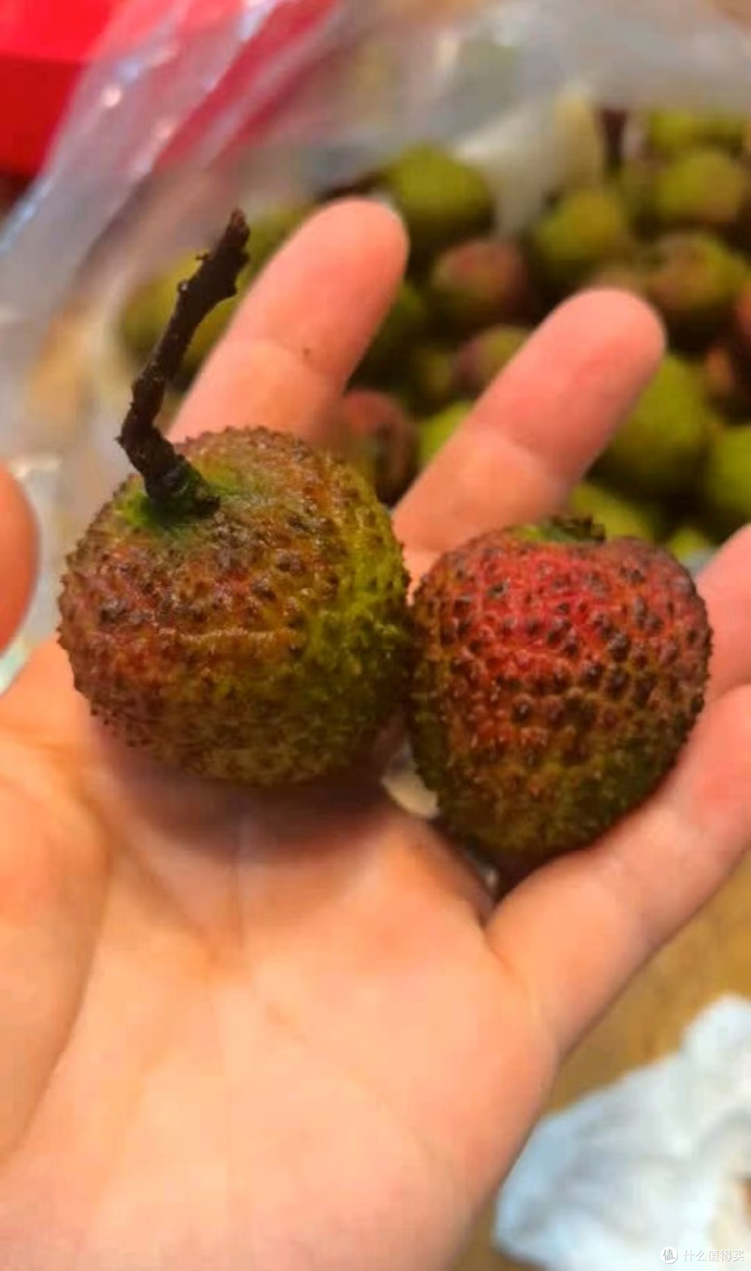 夏天第一口荔枝,必须是“妃子笑”!大颗清甜太上头了!