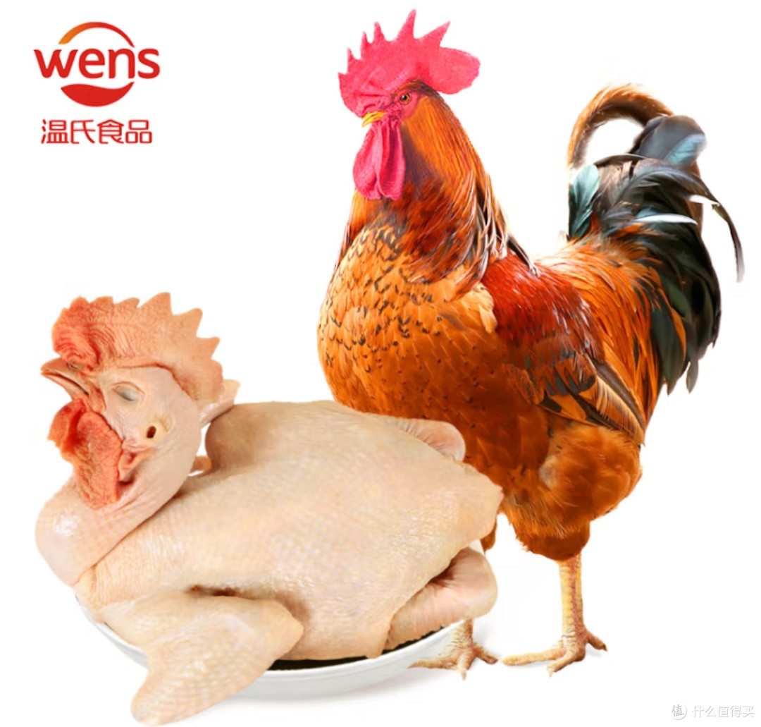618美食清单:温氏供港农养大公鸡,炒鸡整鸡的美味诱惑!