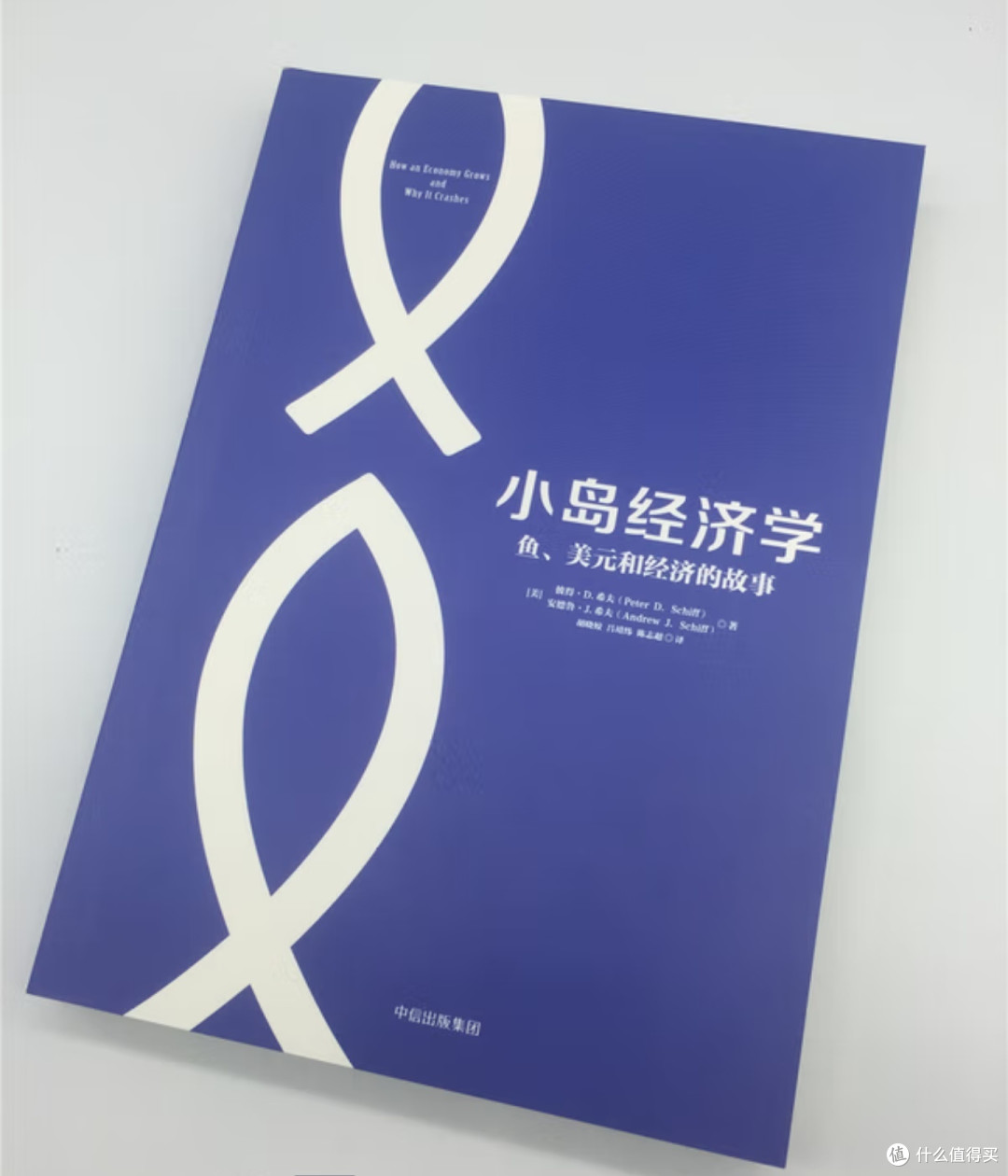 从《小岛经济学》中窥探经济本质