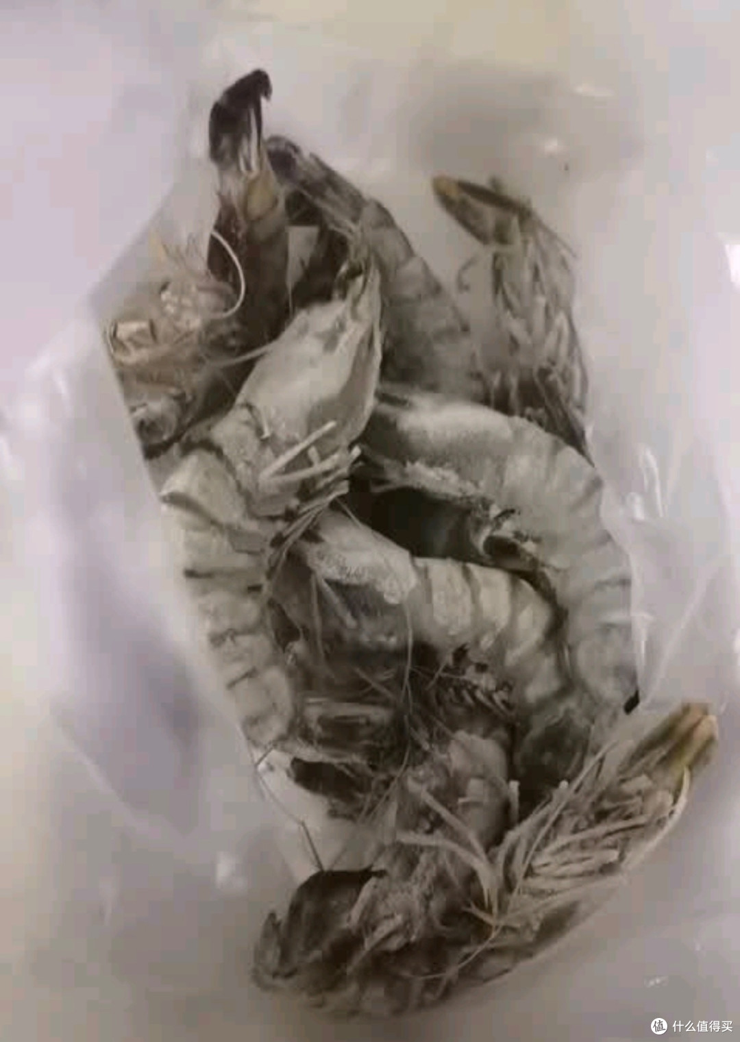 海鲜控必入!京东北海湾活冻黑虎虾,送礼自食都体面