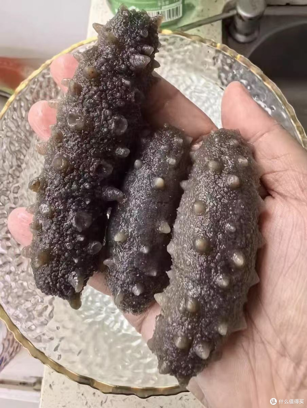 救命!618挖到张奶奶海参这个宝藏,我家餐桌直接原地“封神”!