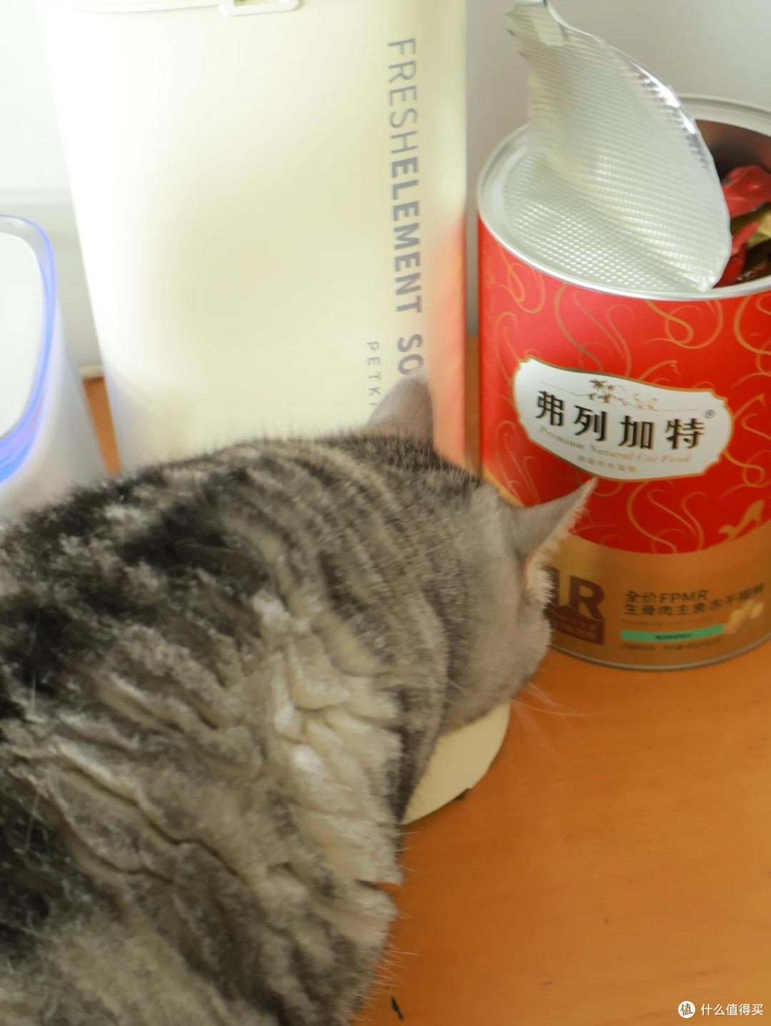 弗列加特兔肉冻干:胖猫也能炫的高蛋白低脂肪主食