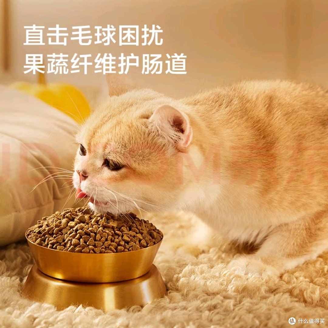 高性价比成猫粮适口性佳