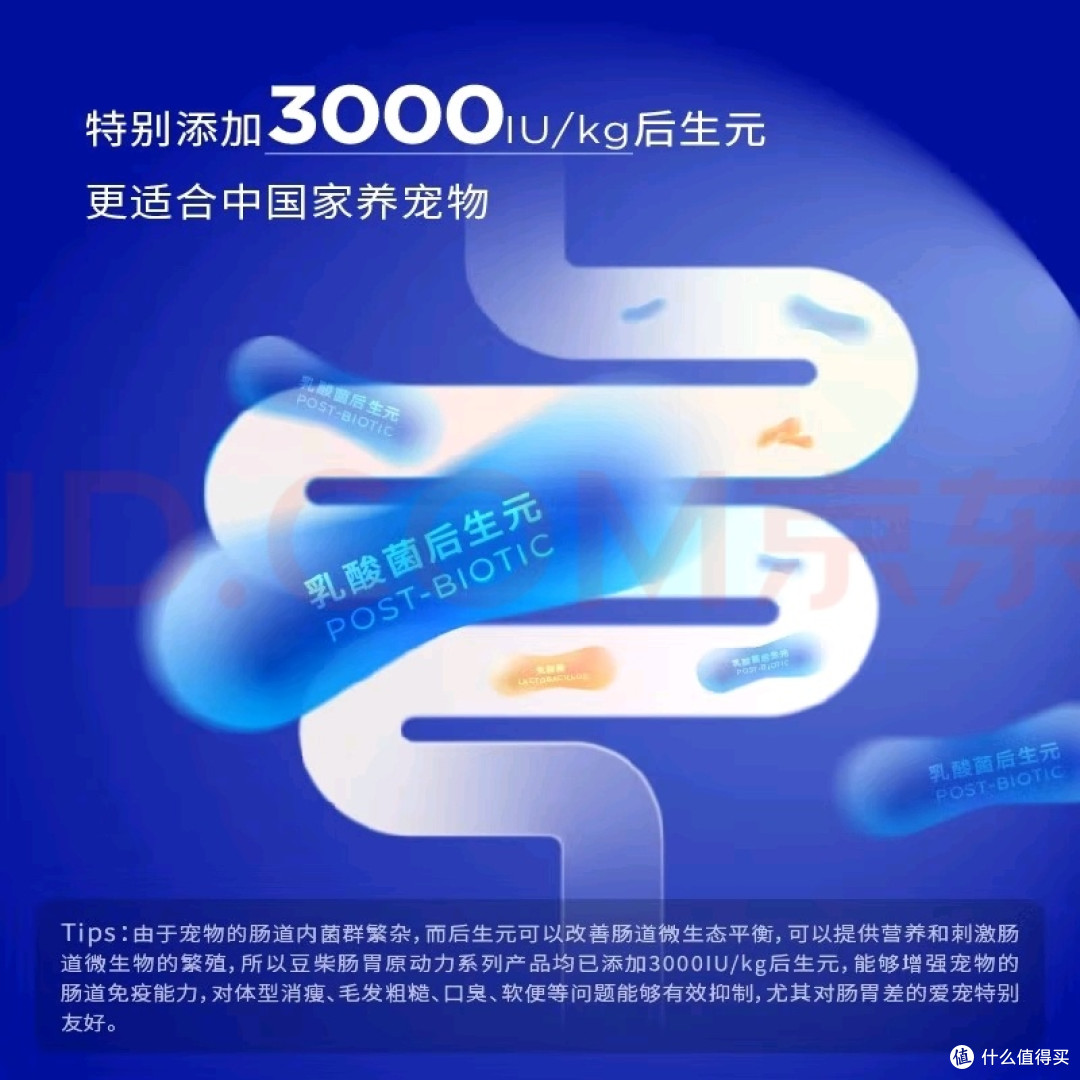 优质蛋白与冻干颗粒结合