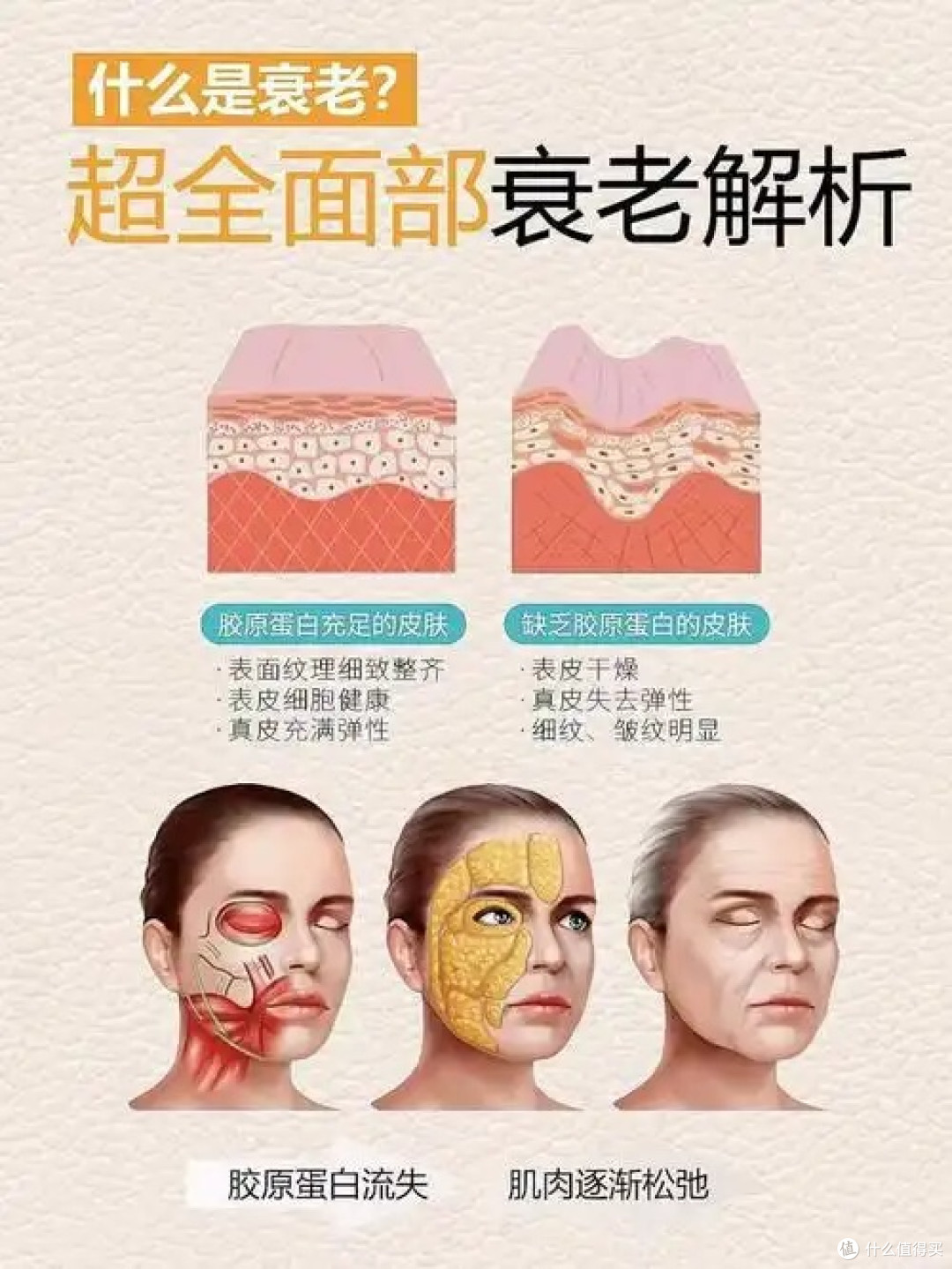 抗老面霜哪个牌子的效果好?5款面霜紧致抗皱测评,哪款是你的菜