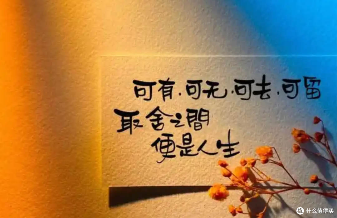 以书为翼,开启2025新章,细品余华的《活着》