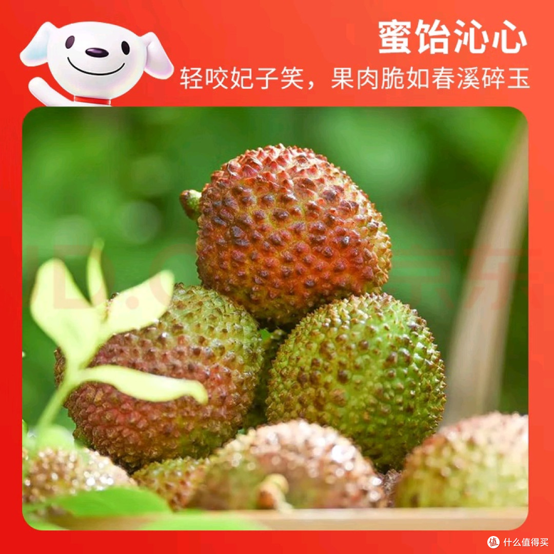 荔枝降价，实现“妃子笑自由”
