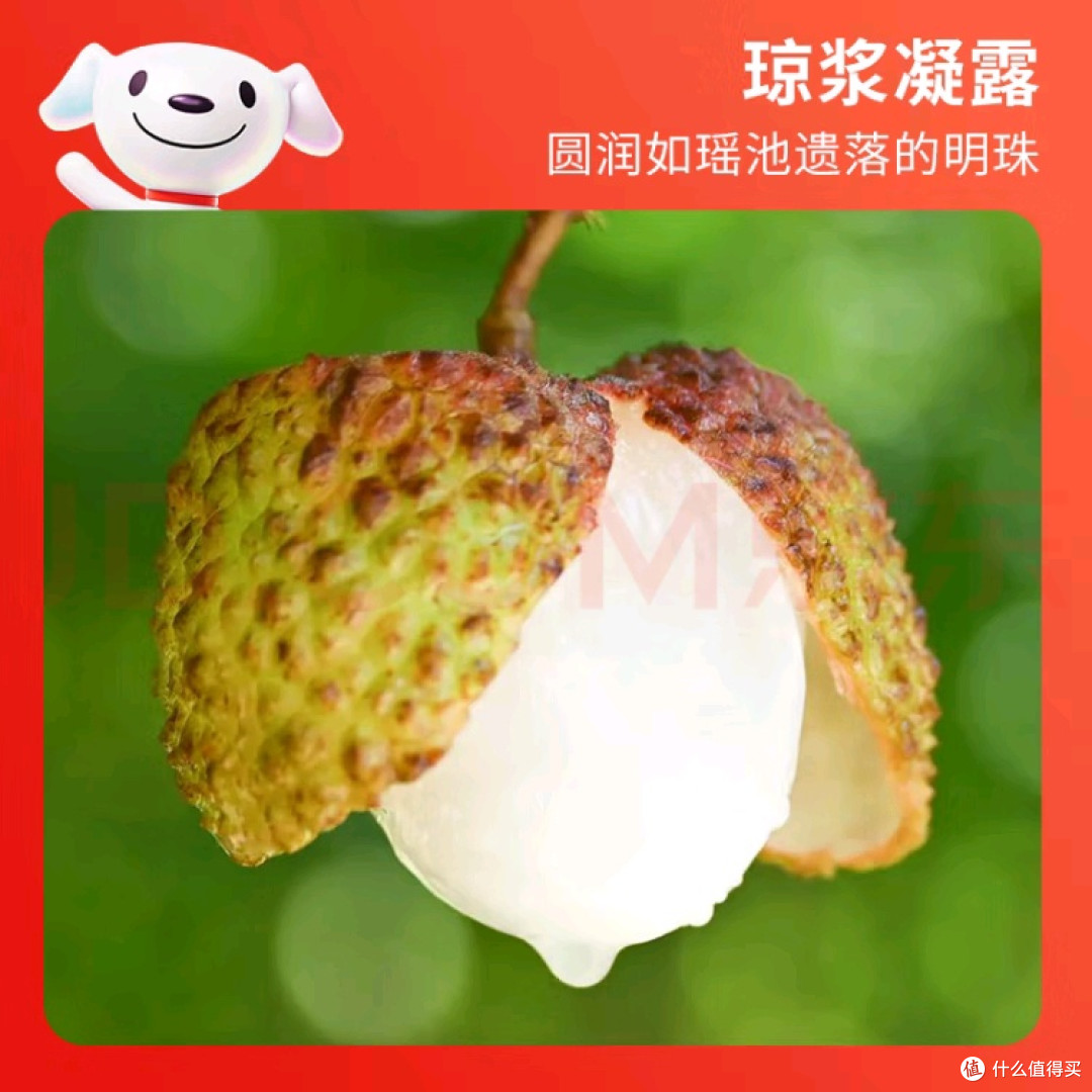 荔枝降价，实现“妃子笑自由”