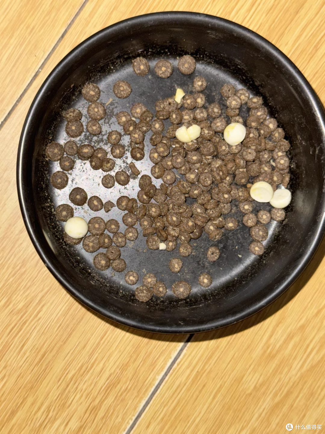 618 养猫人必囤!蓝氏乳鸽幼猫粮,幼猫的 “黄金营养仓”