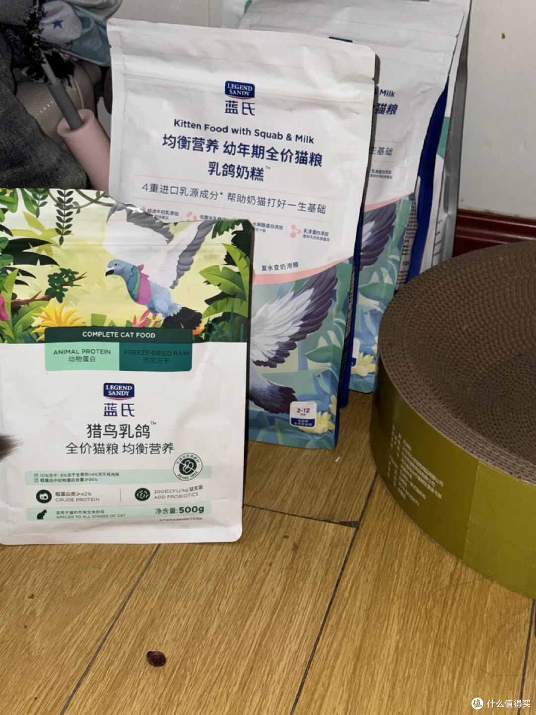 618 养猫人必囤!蓝氏乳鸽幼猫粮,幼猫的 “黄金营养仓”