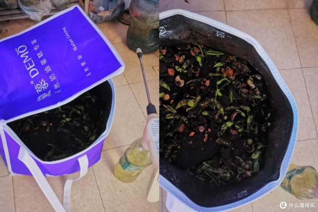 一生节俭的中国人，吃完蛋糕的包装袋能干嘛，看网友的妙用，绝了
