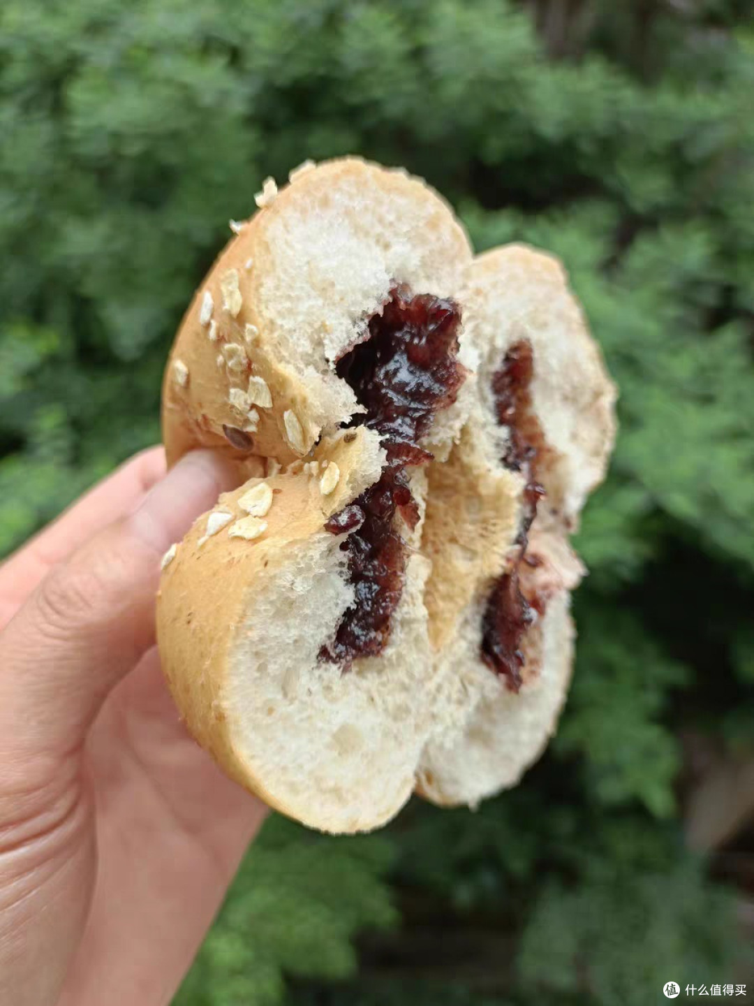 碧翠园全麦欧包低脂减无添蔗糖油代餐饱腹零食品夹心早餐面包