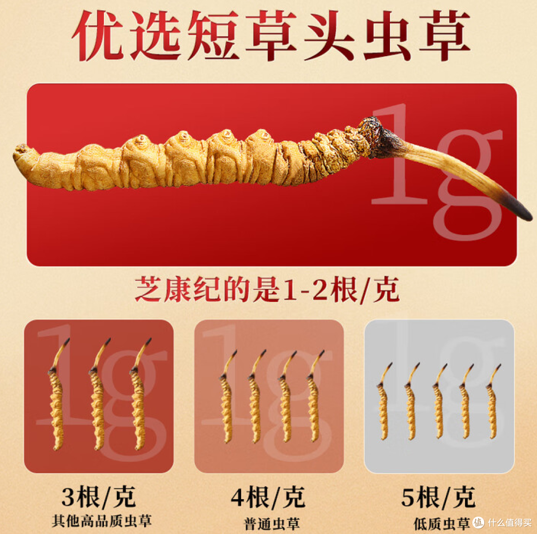 为什么高品质冬虫夏草一眼就能看出来?秘诀就在个头上!