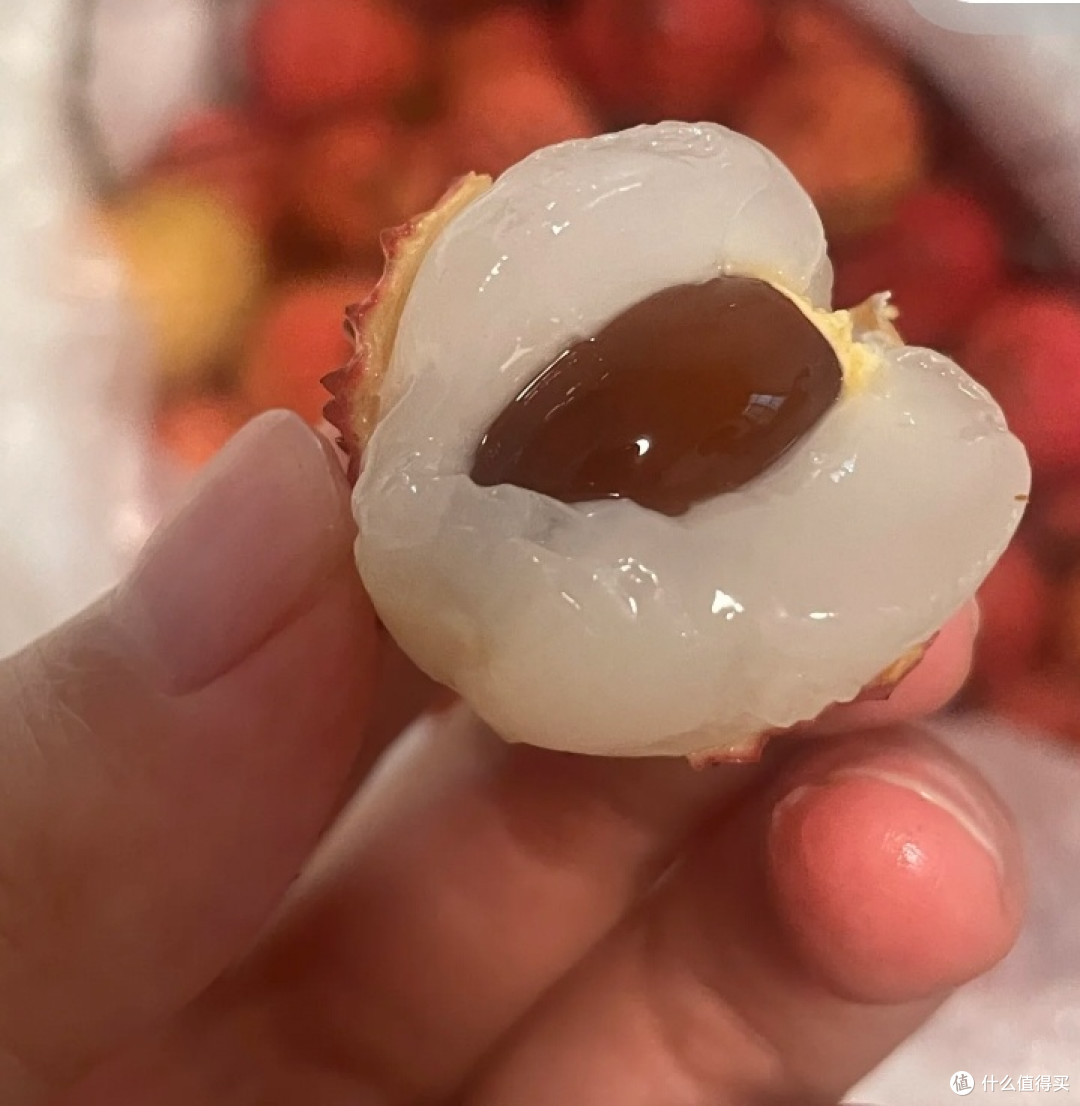  桂味荔枝：一个北方人的味觉觉醒！