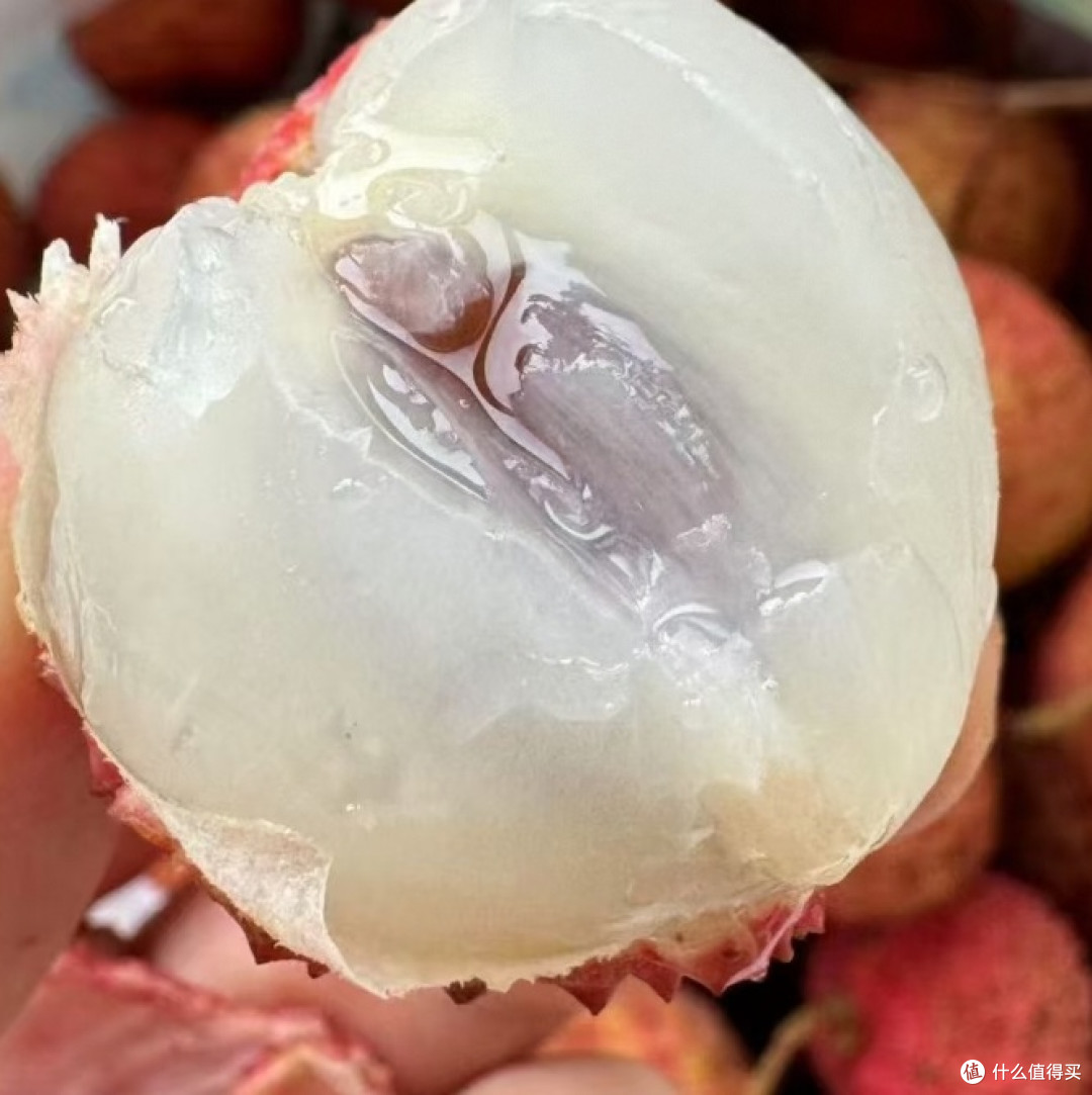  桂味荔枝：一个北方人的味觉觉醒！