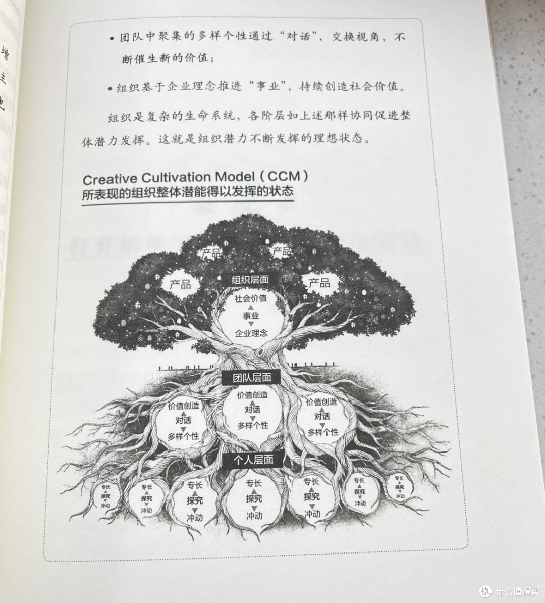 🧪小团队高效管理手册:让共情力成为团队合作的核心动力🤝