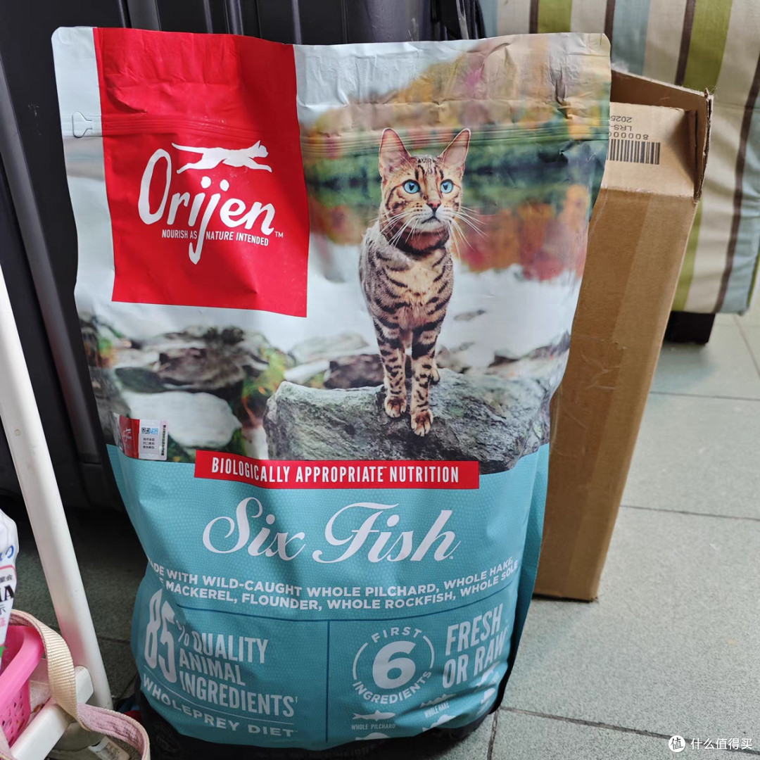 Orijen渴望鸡肉猫粮美版进口全价成猫幼猫猫粮5.4kg