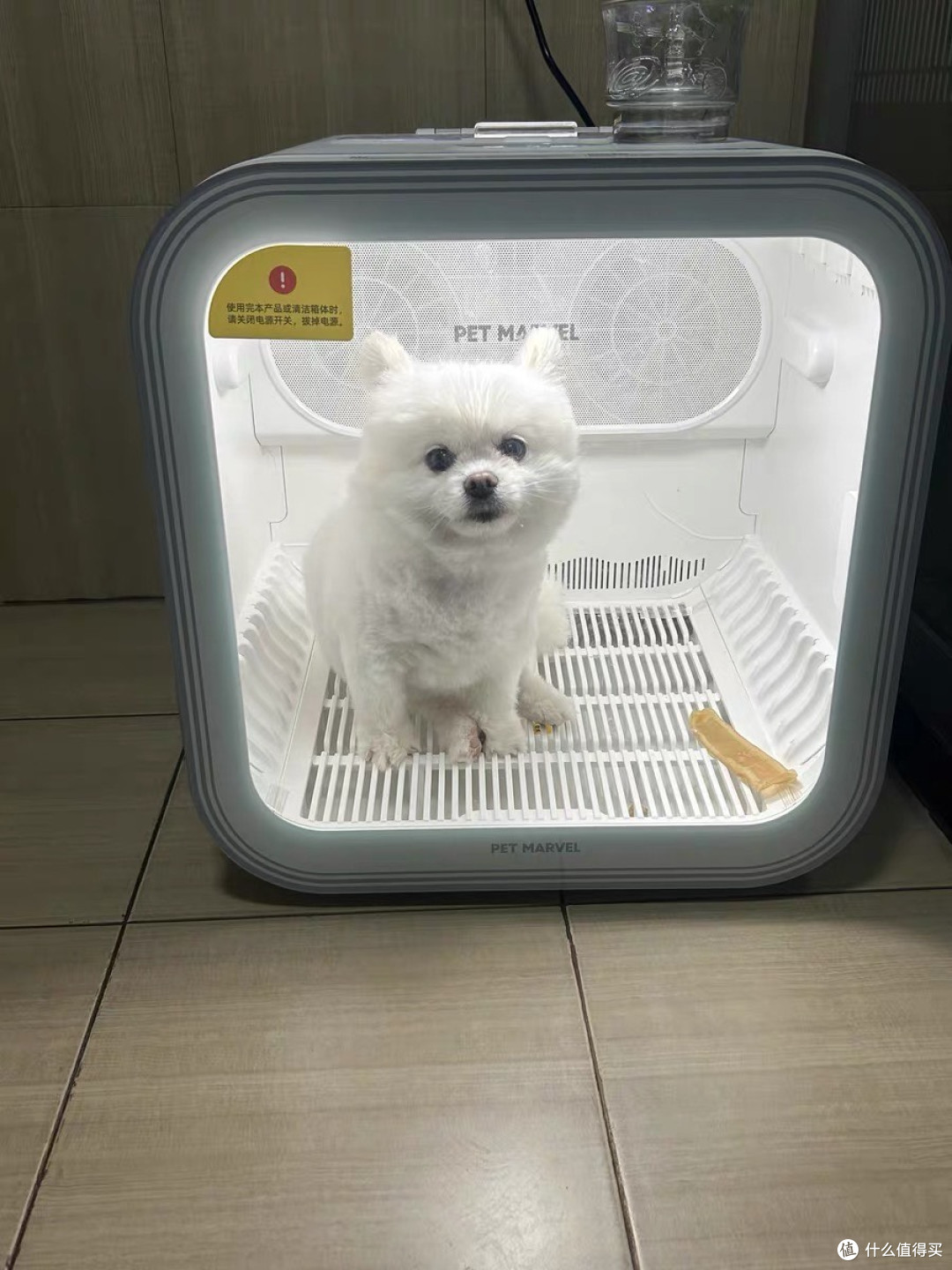 全自动烘干箱解决宠物洗澡难题