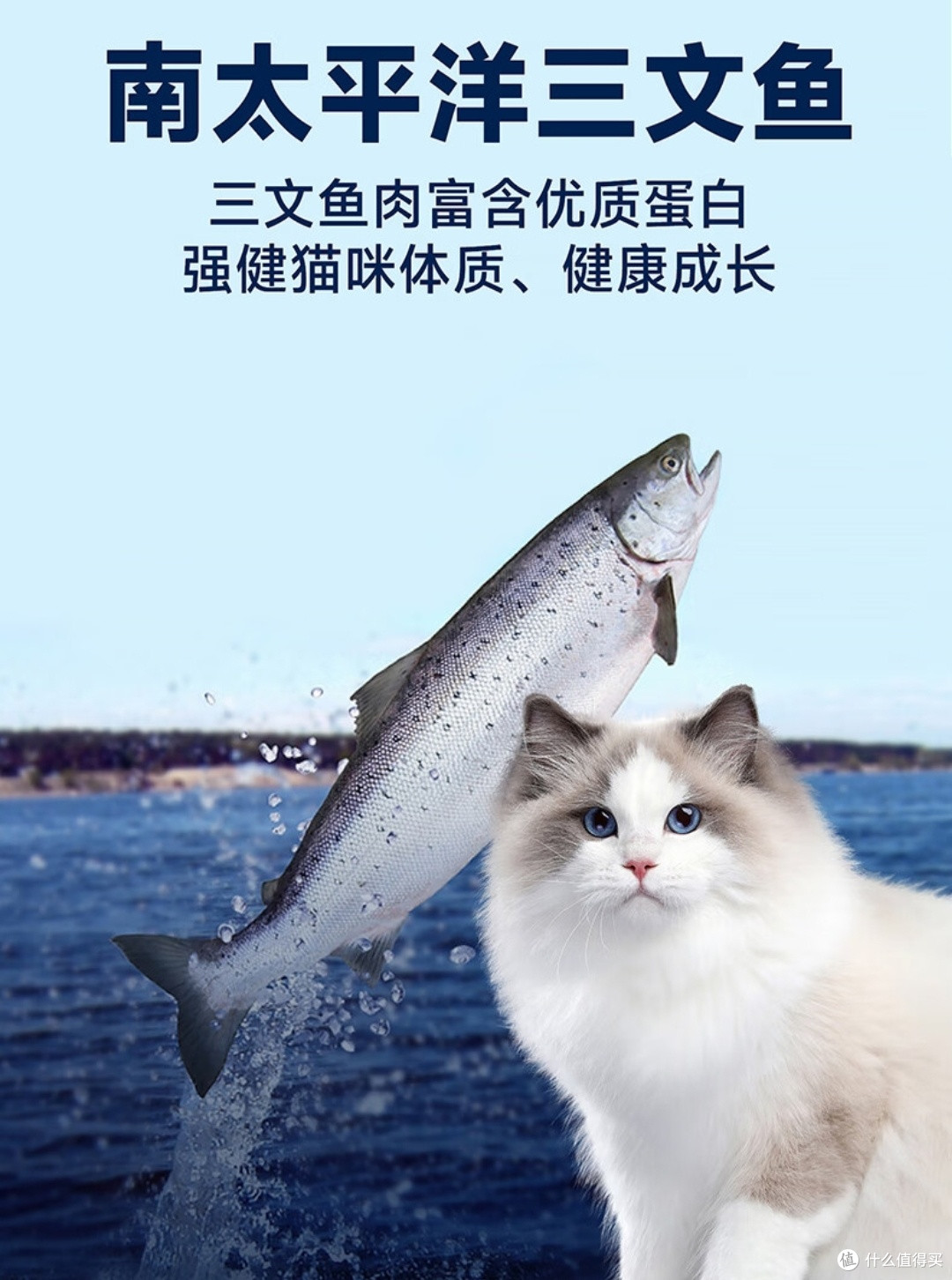 比瑞吉藻鱼儿猫粮:给毛孩子的天然美味盛宴