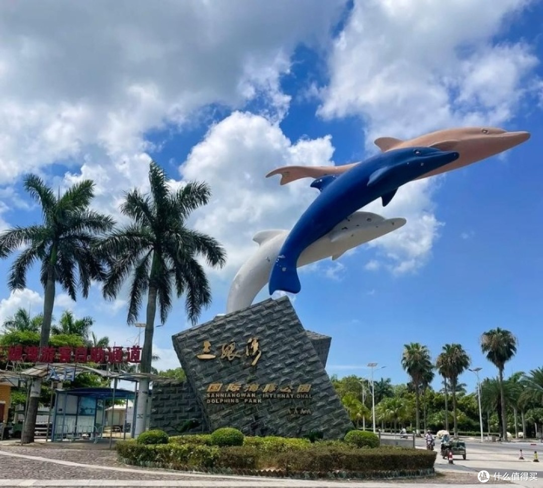 广西钦州三娘湾探寻中华白海豚的奇幻之旅