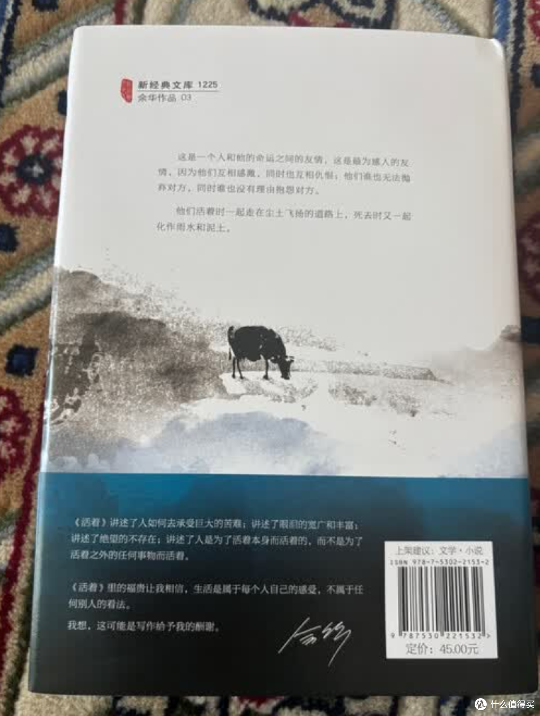 《活着》:把苦熬成光,才懂活着的分量