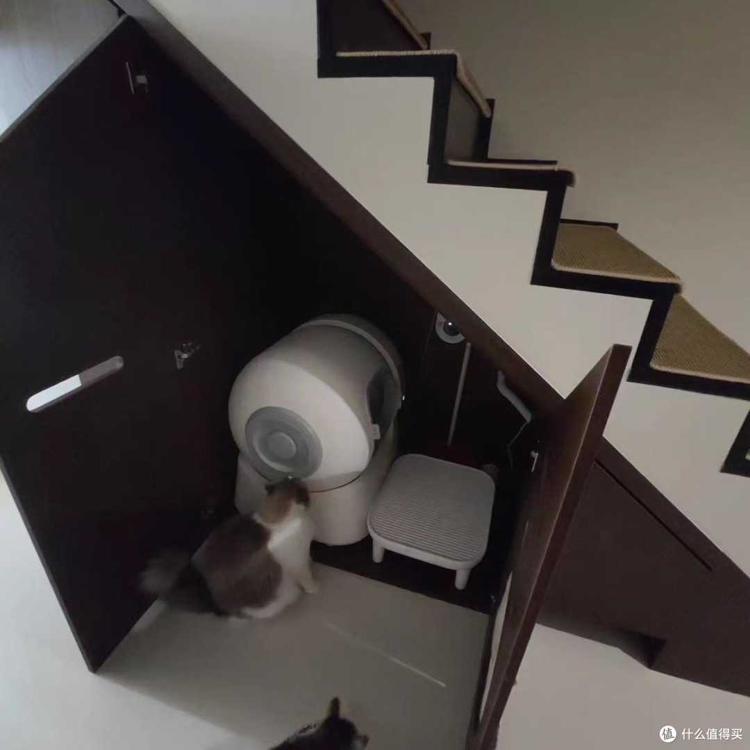 四只猫用上自动猫砂盆！这波操作我家猫愣是没看懂