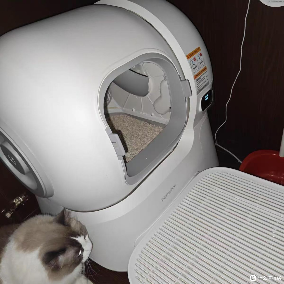 四只猫用上自动猫砂盆！这波操作我家猫愣是没看懂