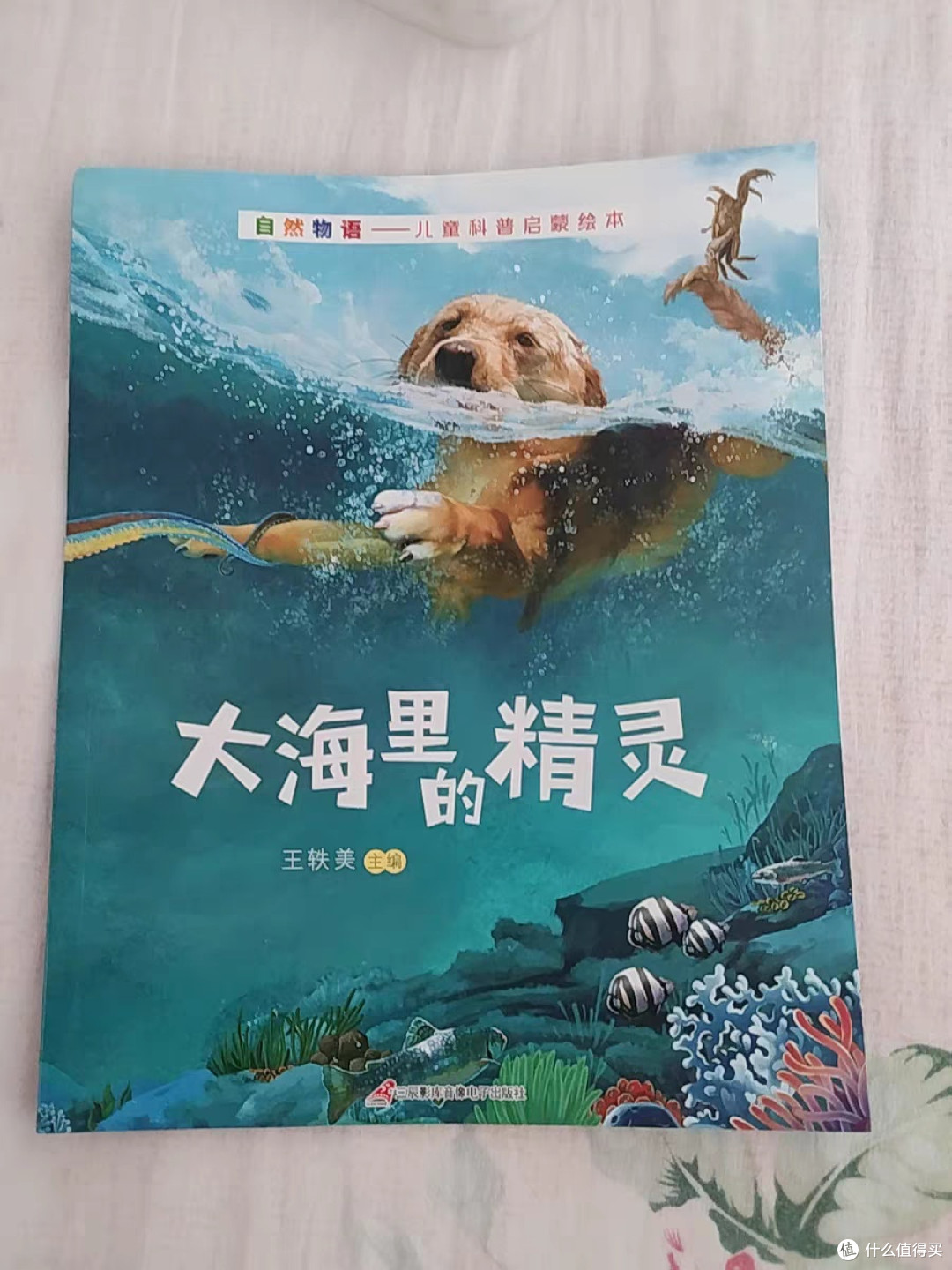 原来科学这么有趣正版书籍少儿科普类书籍百科全书