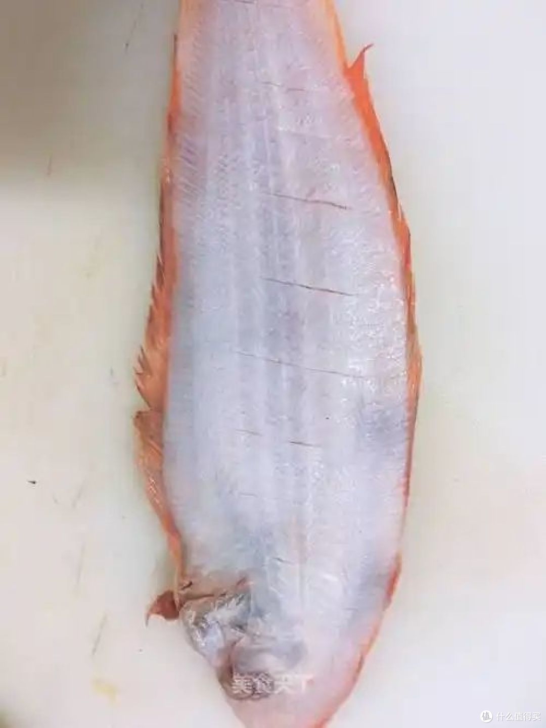 塔嘛鱼和鳎目鱼的区别,哪种好吃又便宜?