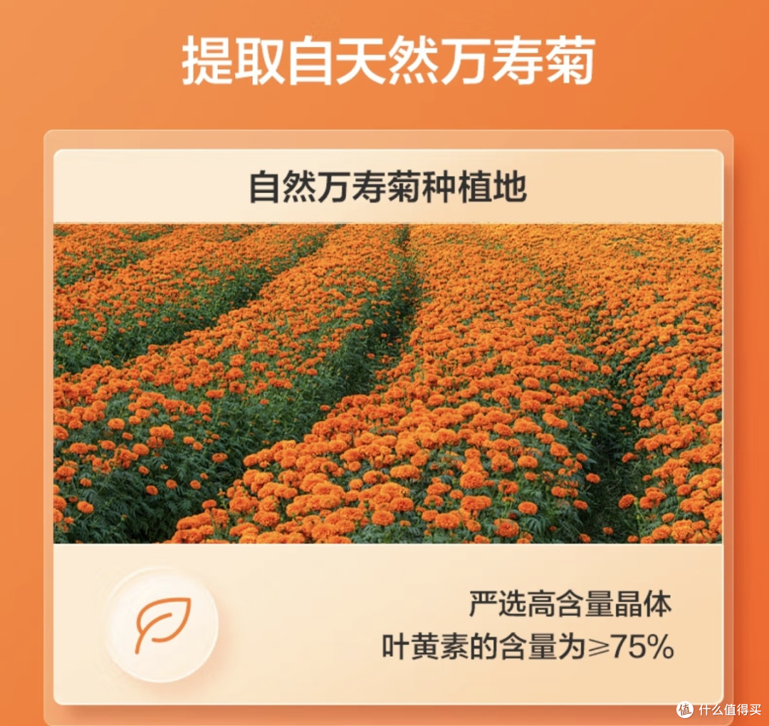 儿童叶黄素软糖购买指南