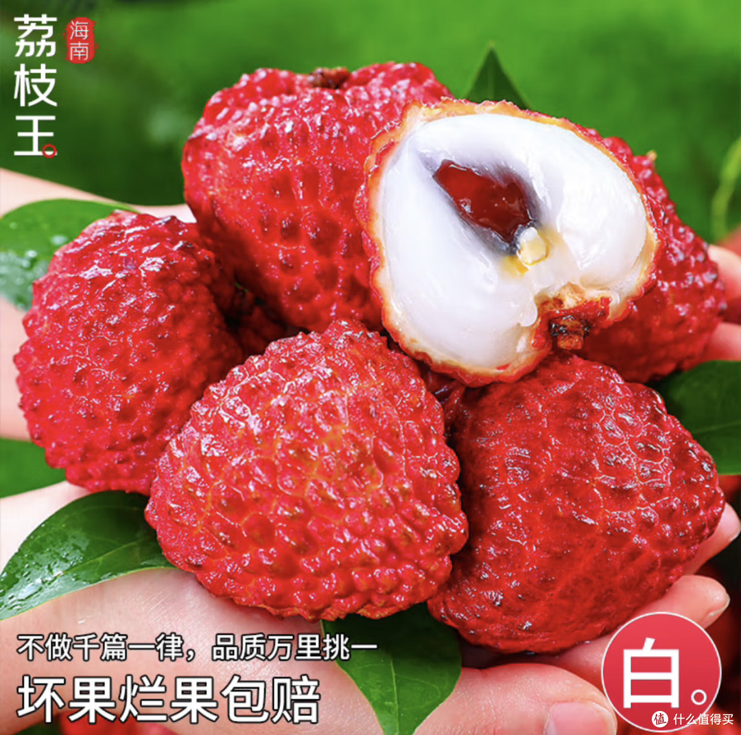 暴跌七成!广西灵山荔枝王开吃体验:钱包没哭,味蕾笑疯了!