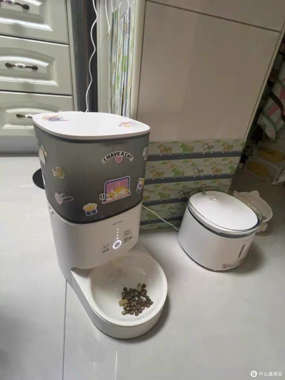 定时定量投喂,宠物饮食无忧