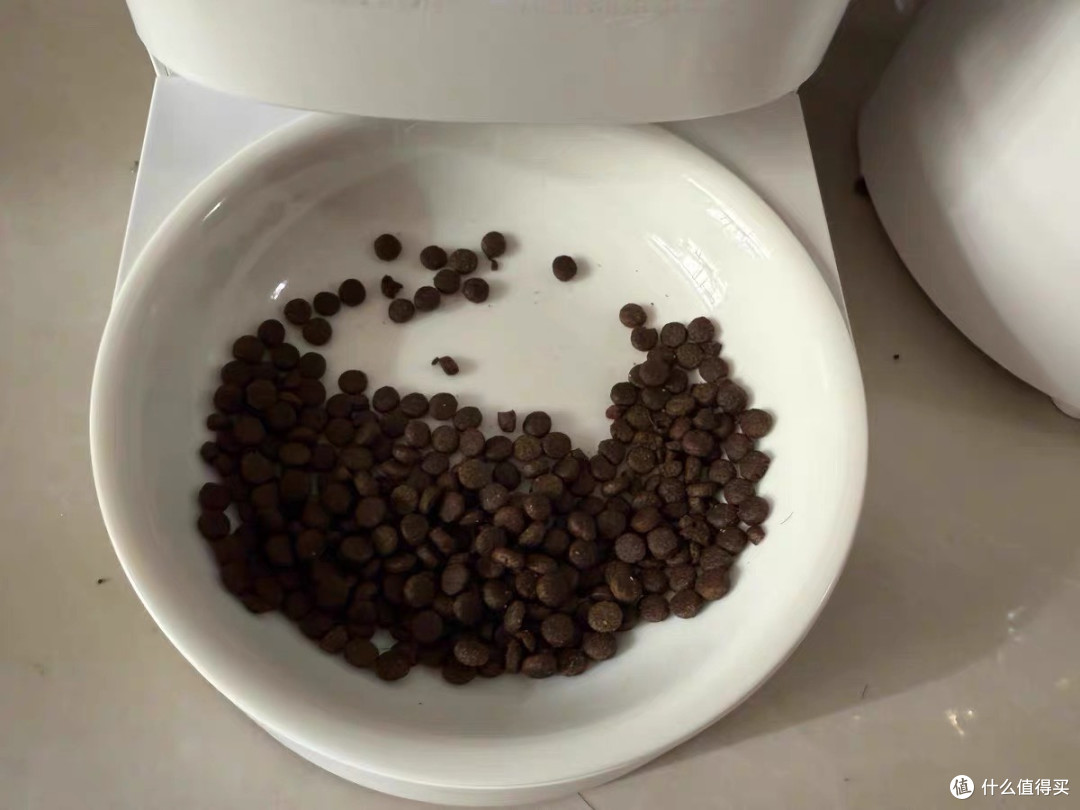 定时定量投喂，宠物饮食无忧