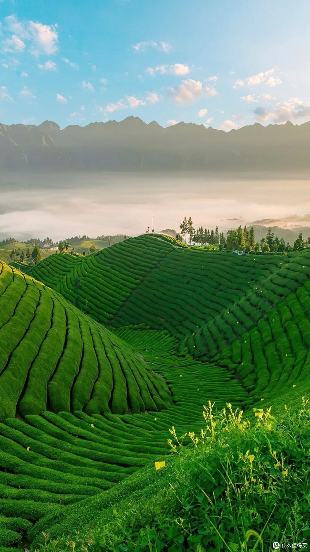 恩施毕业旅行美景推荐