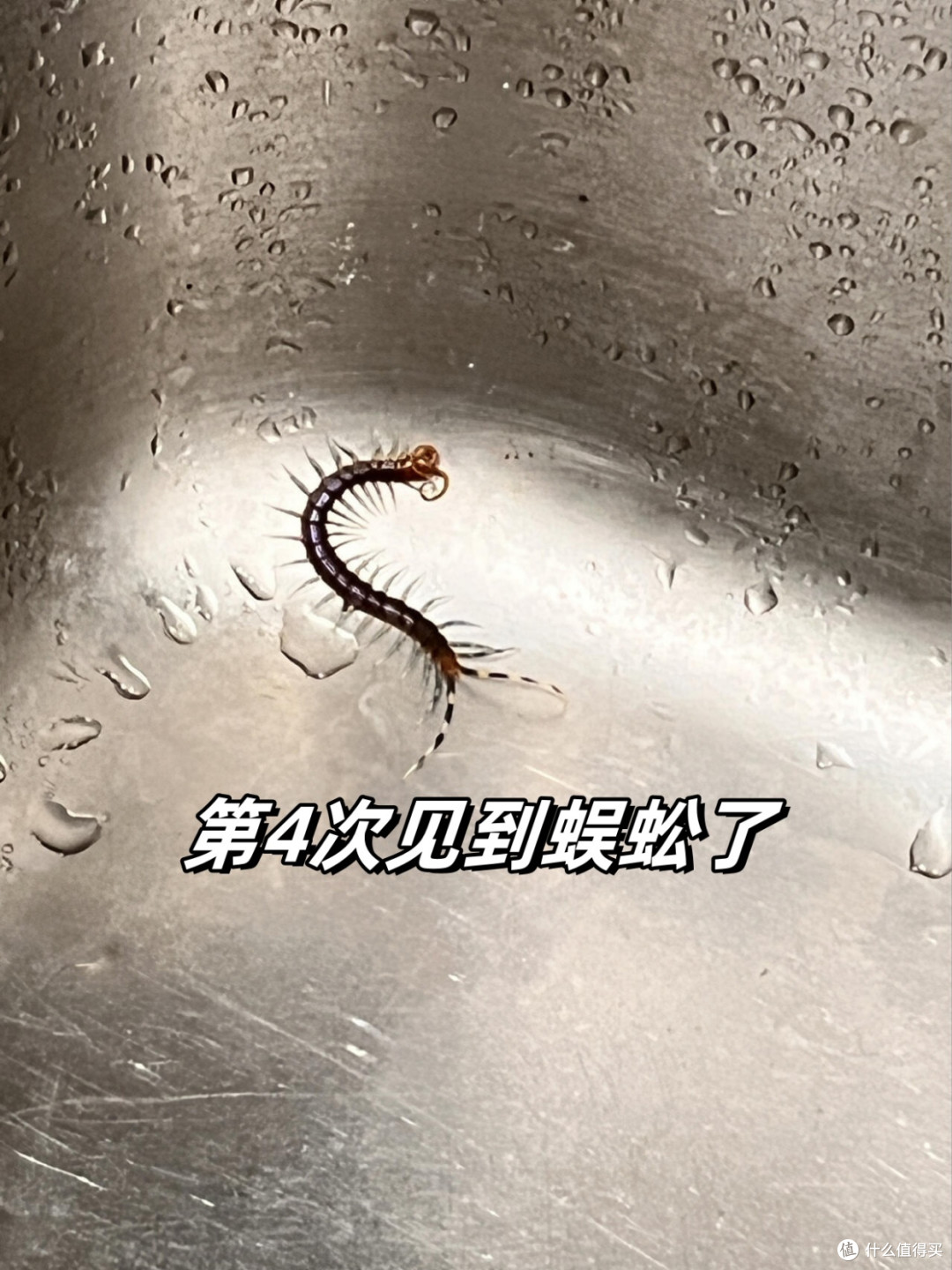 为何越来越多人搬离“一楼带院”的房子?这些网友说出了实情
