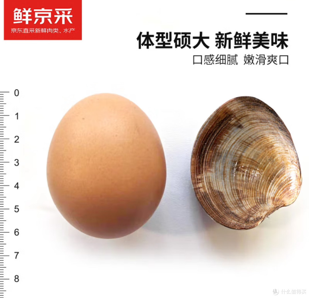 5斤鲜活大美贝来袭!鲜京采源头直发的蛤蜊花甲有多绝!