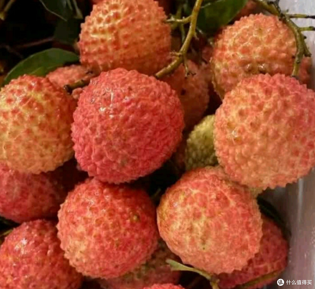 一口清甜,尽是岭南风味——田拾记广东增城桂味荔枝