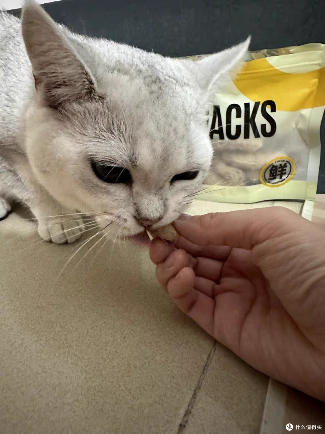618囤货季:猫咪鸡脖冻干推荐