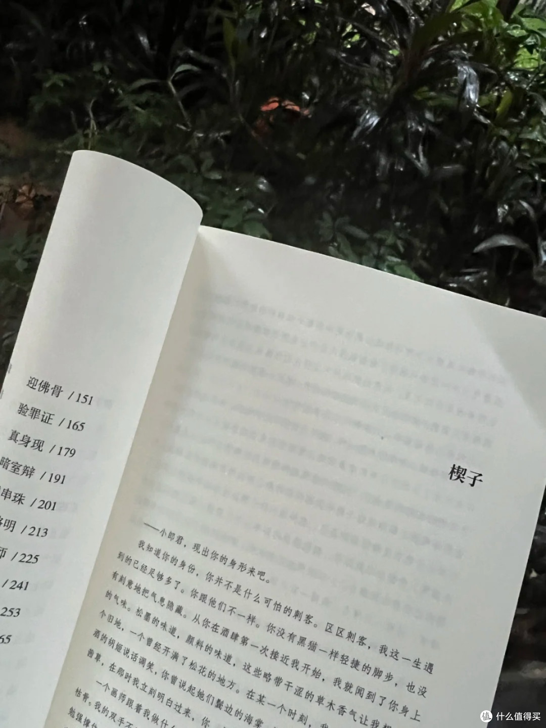 当我在唐朝御史台拆穿「蚍蜉杀局」:一场被史书掩盖的权谋游戏