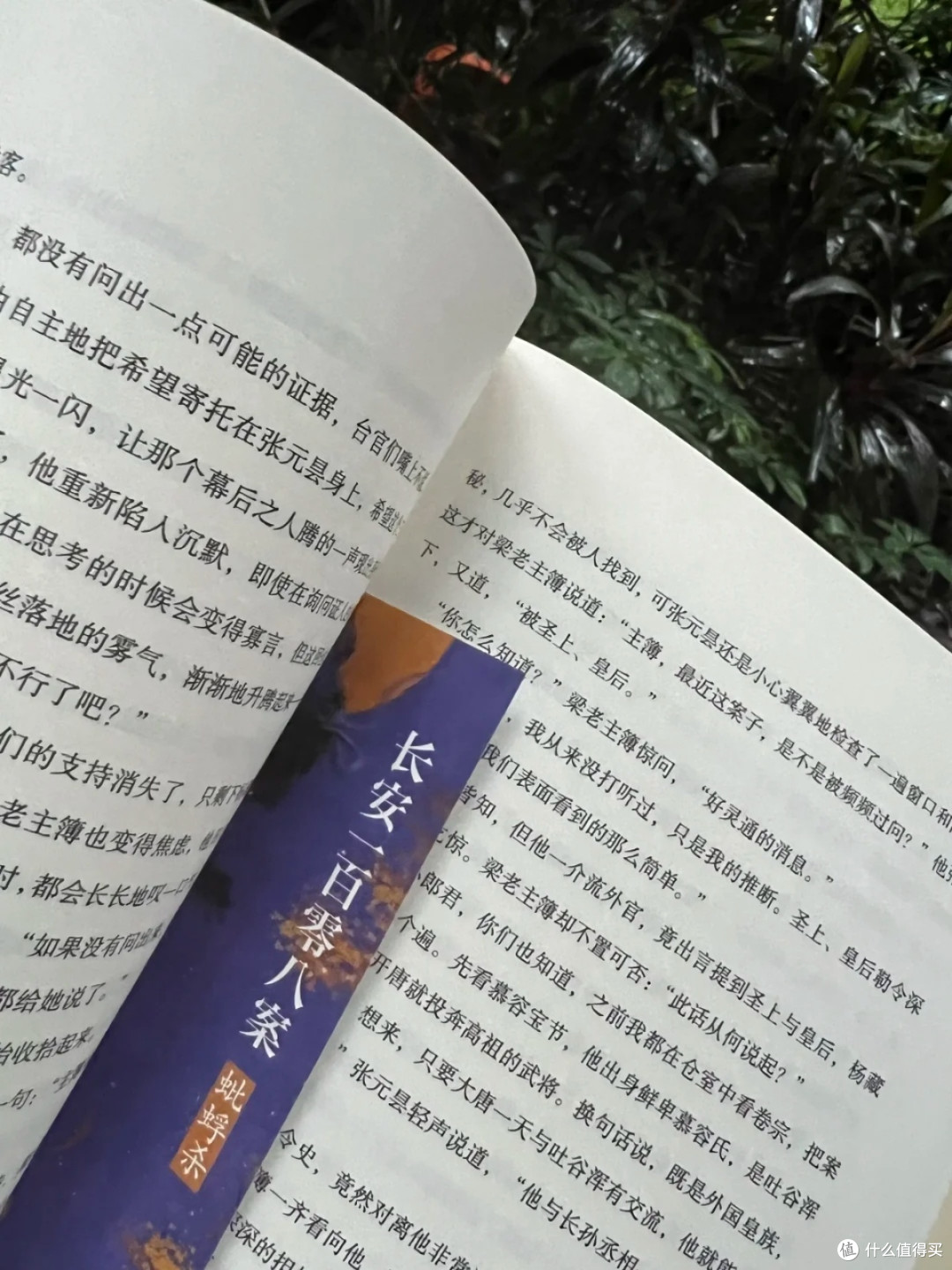 当我在唐朝御史台拆穿「蚍蜉杀局」:一场被史书掩盖的权谋游戏