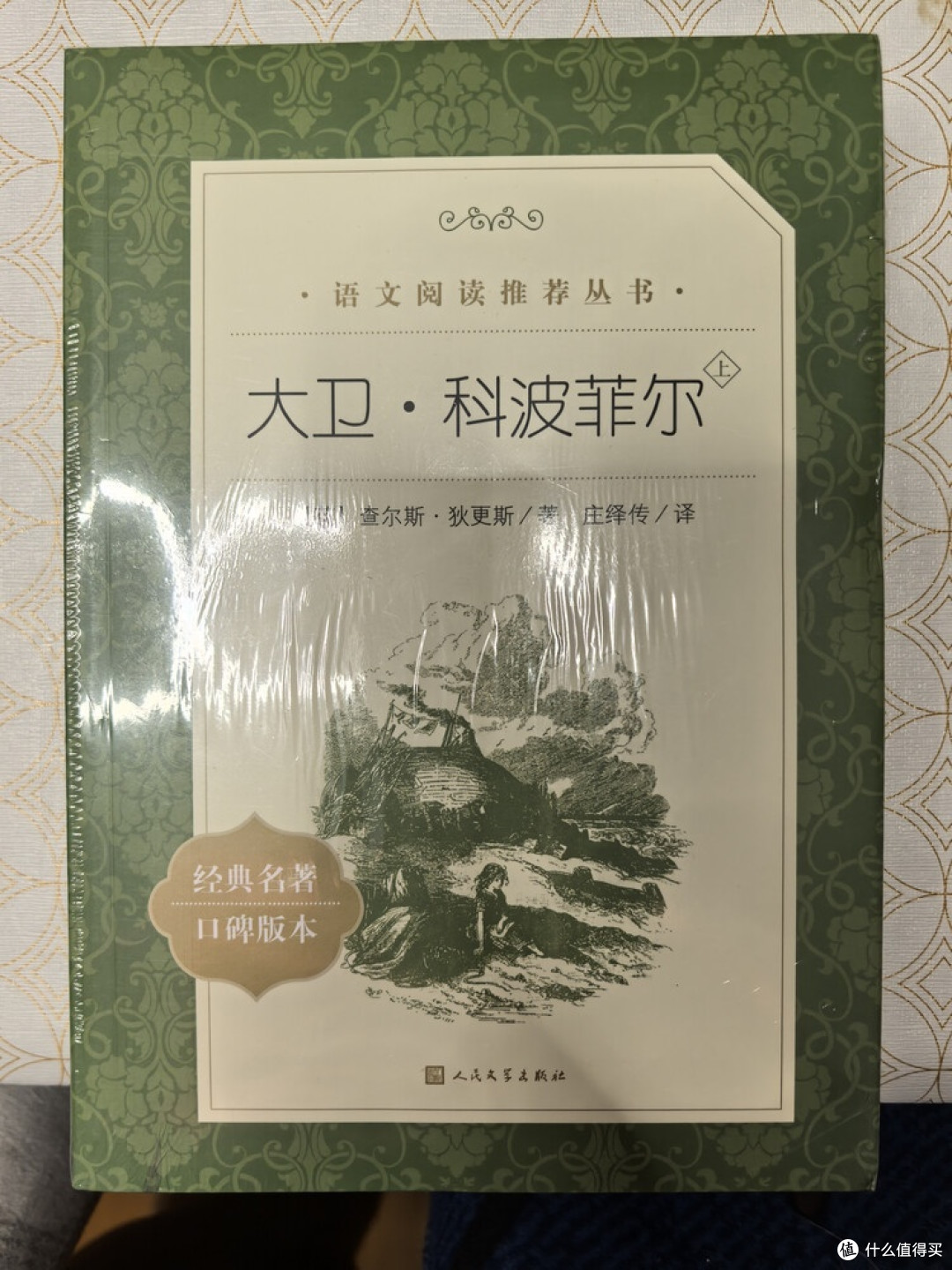 《大卫·科波菲尔》:成长与社会的史诗