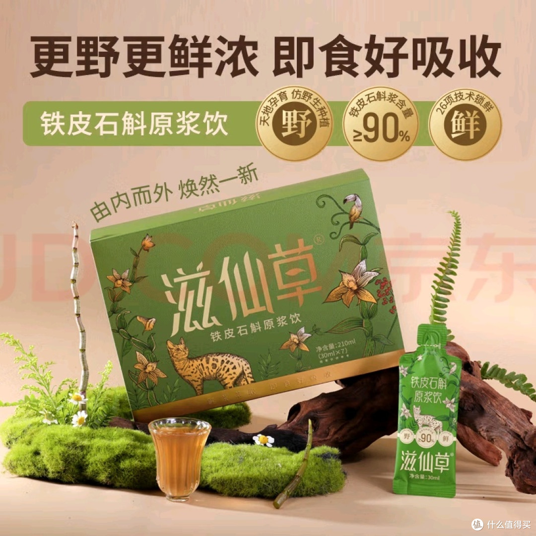 破壁萃取工艺浓缩精华方便饮用