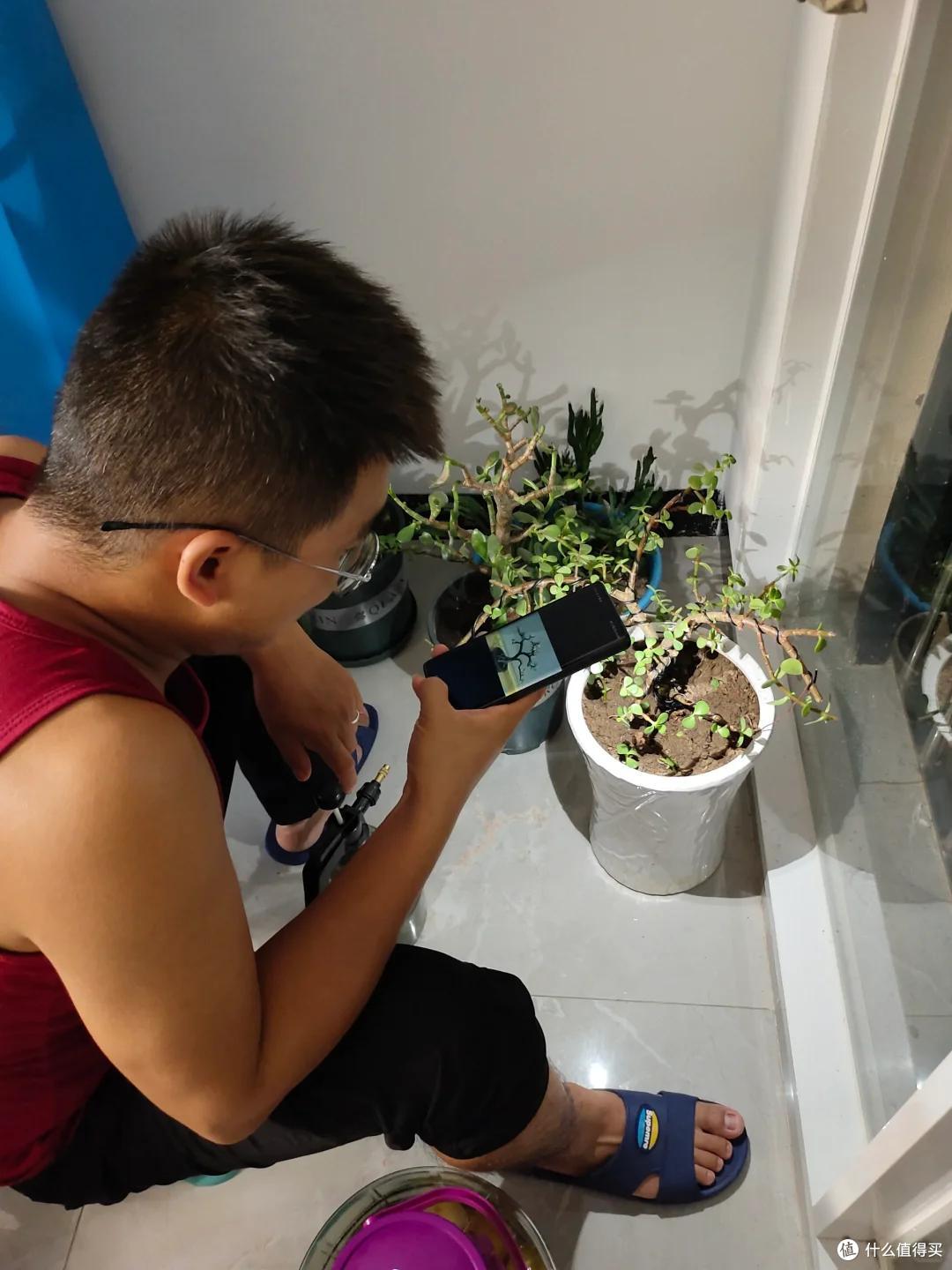 阳台养花5年,我退坑了:曾以为的岁月静好,实则不堪重负~
