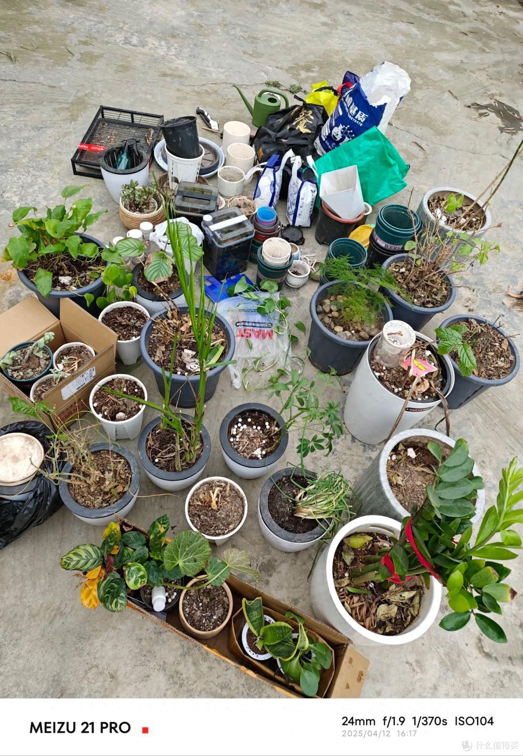 阳台养花5年,我退坑了:曾以为的岁月静好,实则不堪重负~